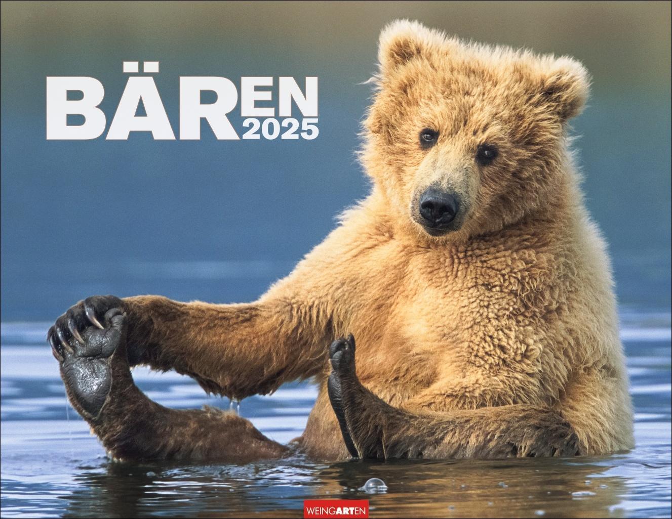 Cover: 9783839901571 | Bären Kalender 2025 | Kalender | Spiralbindung | 14 S. | Deutsch