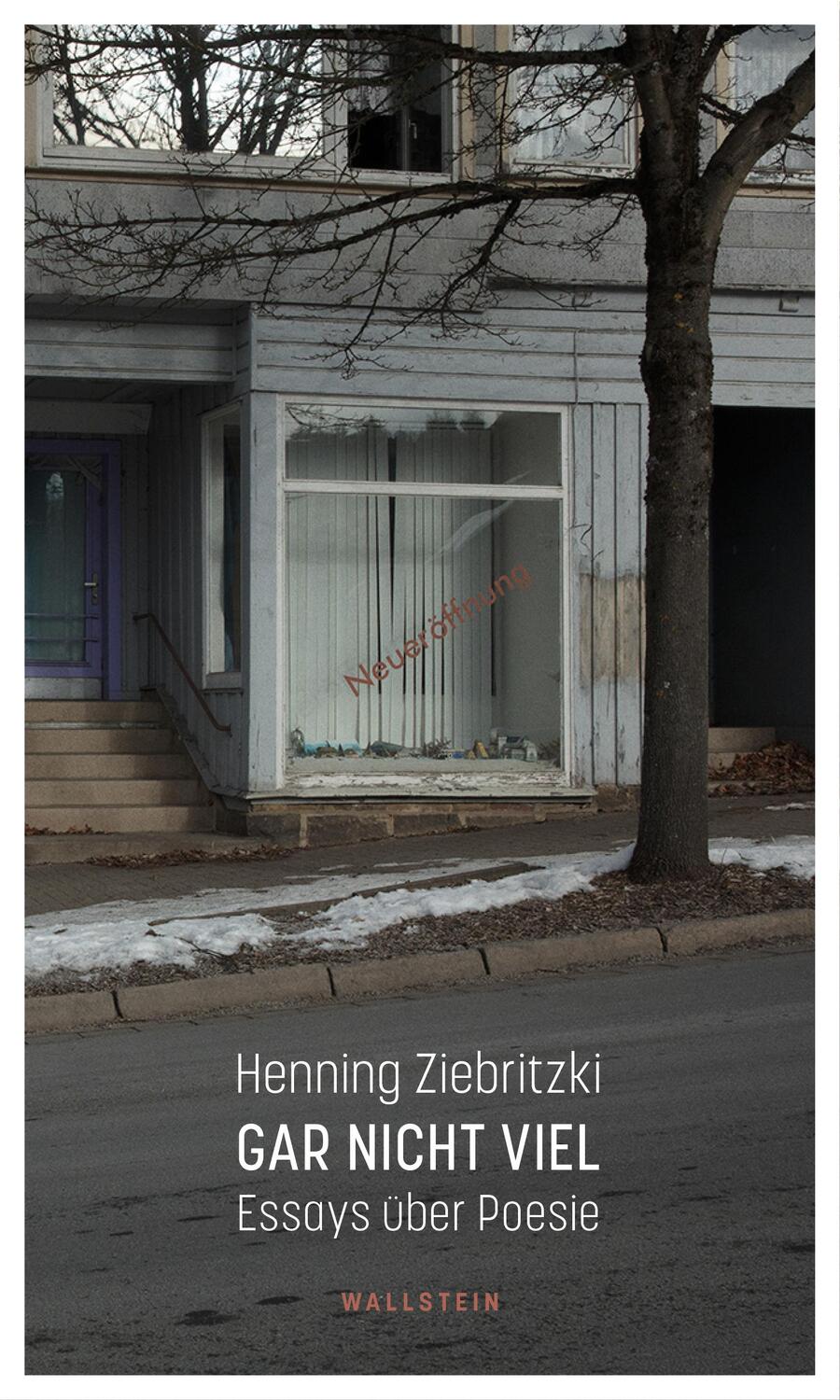 Cover: 9783835355378 | Gar nicht viel | Essays über Poesie | Henning Ziebritzki | Buch | 2023