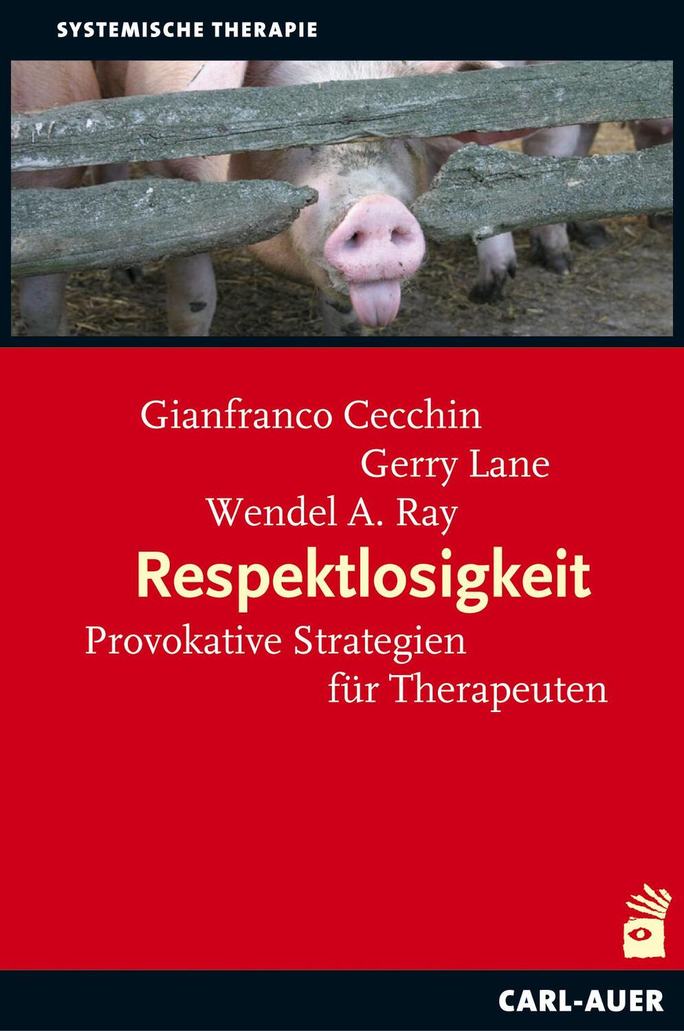 Cover: 9783896707567 | Respektlosigkeit | Provokative Strategien für Therapeuten | Buch