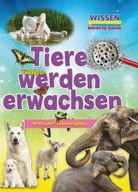 Cover: 9789463414203 | Tiere werden erwachsen | Ruth Owen | Buch | 32 S. | Deutsch | 2019