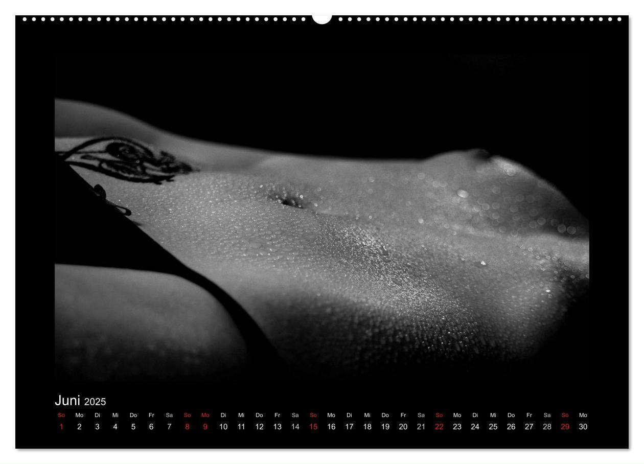 Bild: 9783435488155 | Erotische Körper (Wandkalender 2025 DIN A2 quer), CALVENDO...