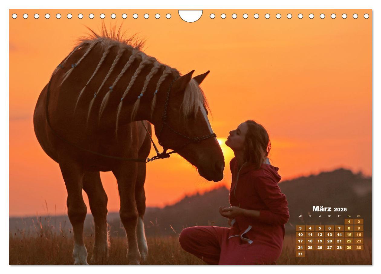 Bild: 9783457184974 | Haflinger: Die blonden Pferde von der Alm (Wandkalender 2025 DIN A4...