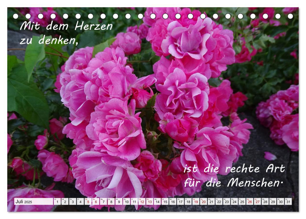 Bild: 9783435101023 | Albert Schweitzer Zitate (Tischkalender 2025 DIN A5 quer), CALVENDO...