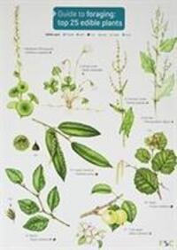 Cover: 9781908819253 | Cremona, C: Guide to Foraging: Top 25 Edible Plants | Clare Cremona