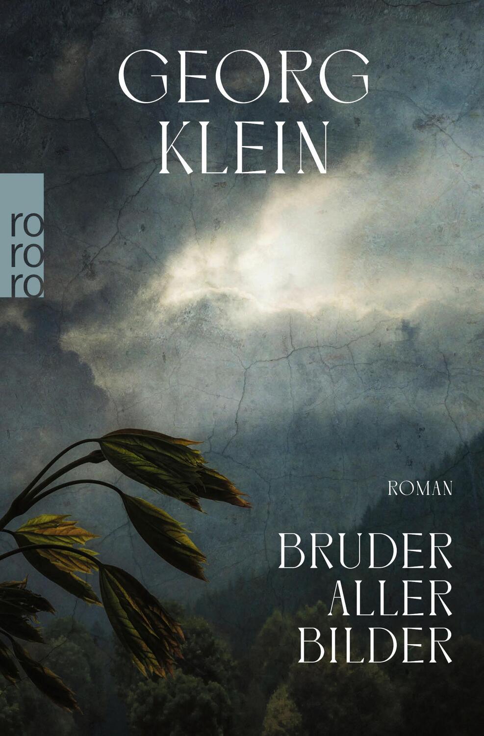 Cover: 9783499291869 | Bruder aller Bilder | Georg Klein | Taschenbuch | Deutsch | 2023