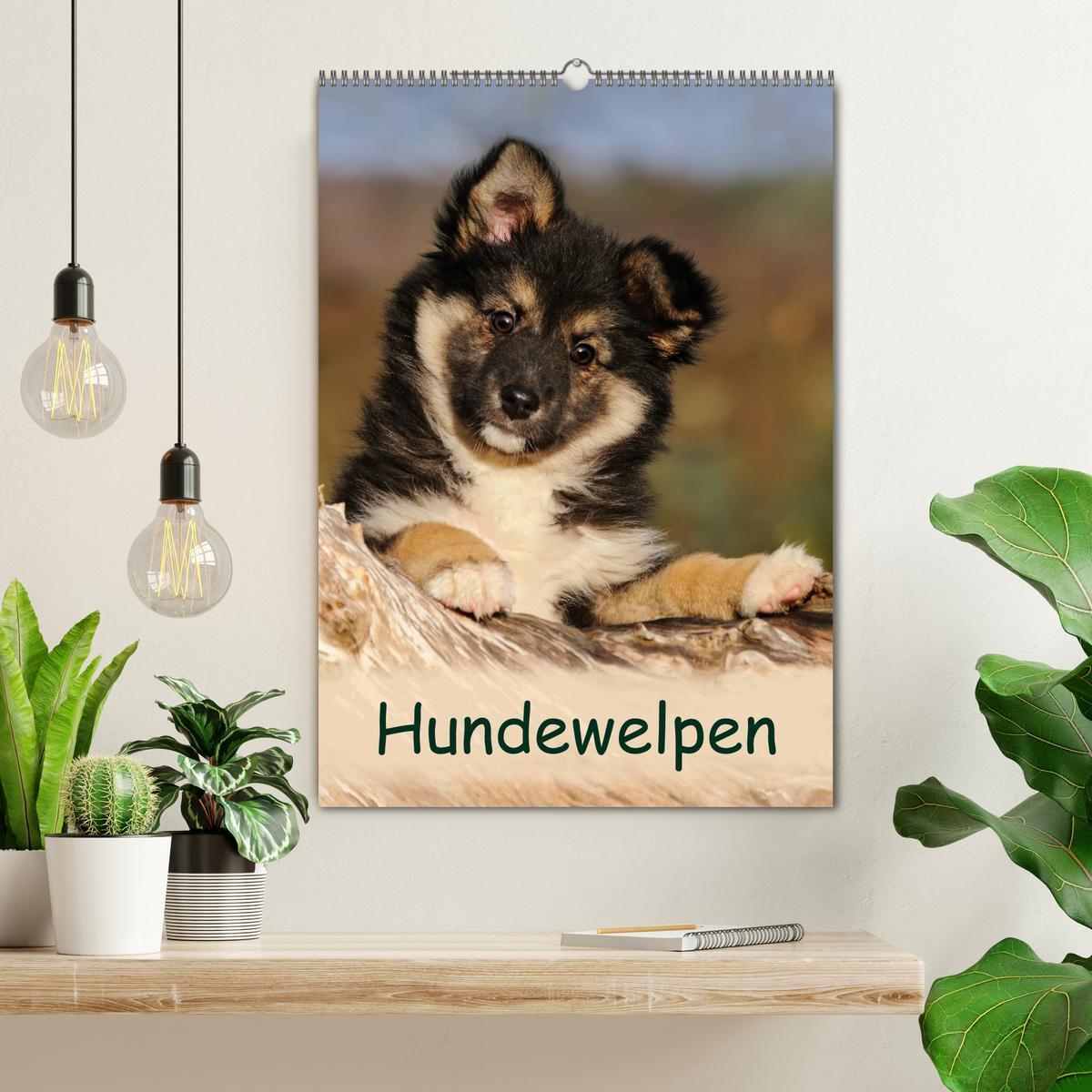 Bild: 9783457076057 | Hundewelpen (Wandkalender 2025 DIN A2 hoch), CALVENDO Monatskalender