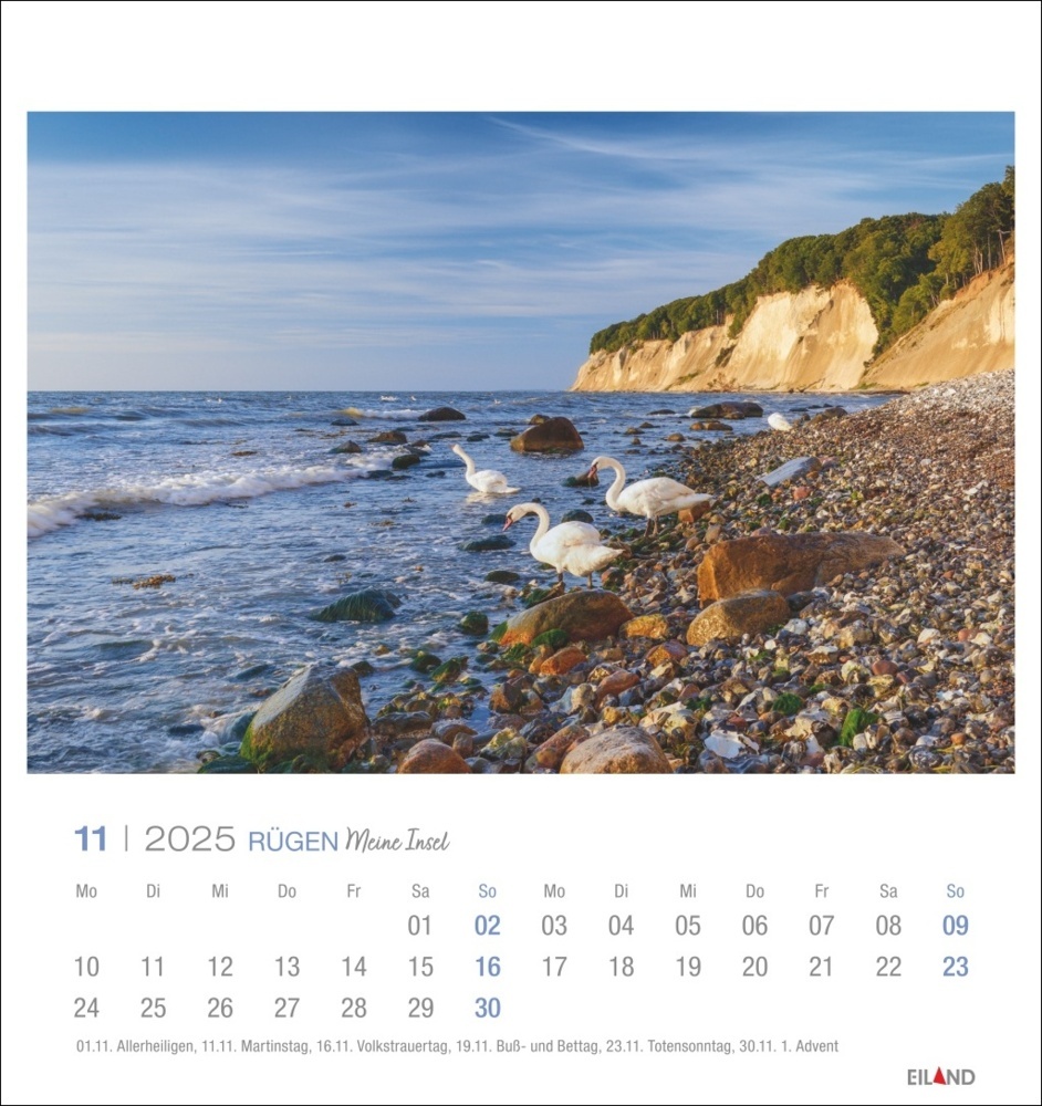 Bild: 9783964023360 | Rügen Postkartenkalender 2025 - Meine Insel | Kalender | Spiralbindung