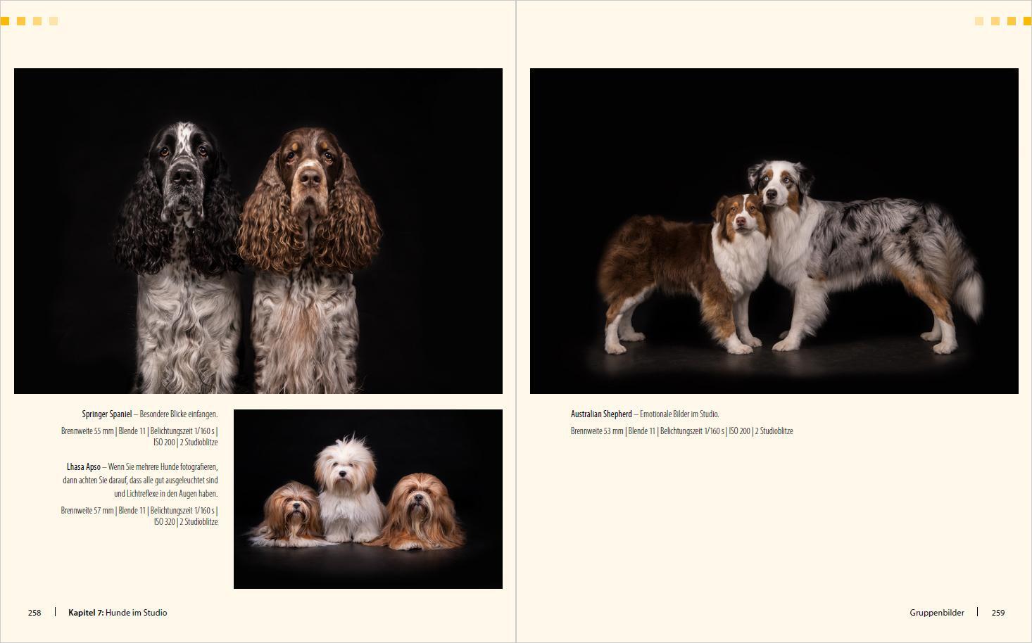 Bild: 9783832803490 | Hunde-Shooting - Fotografieren mit "Wau-Effekt" | Regine Heuser | Buch