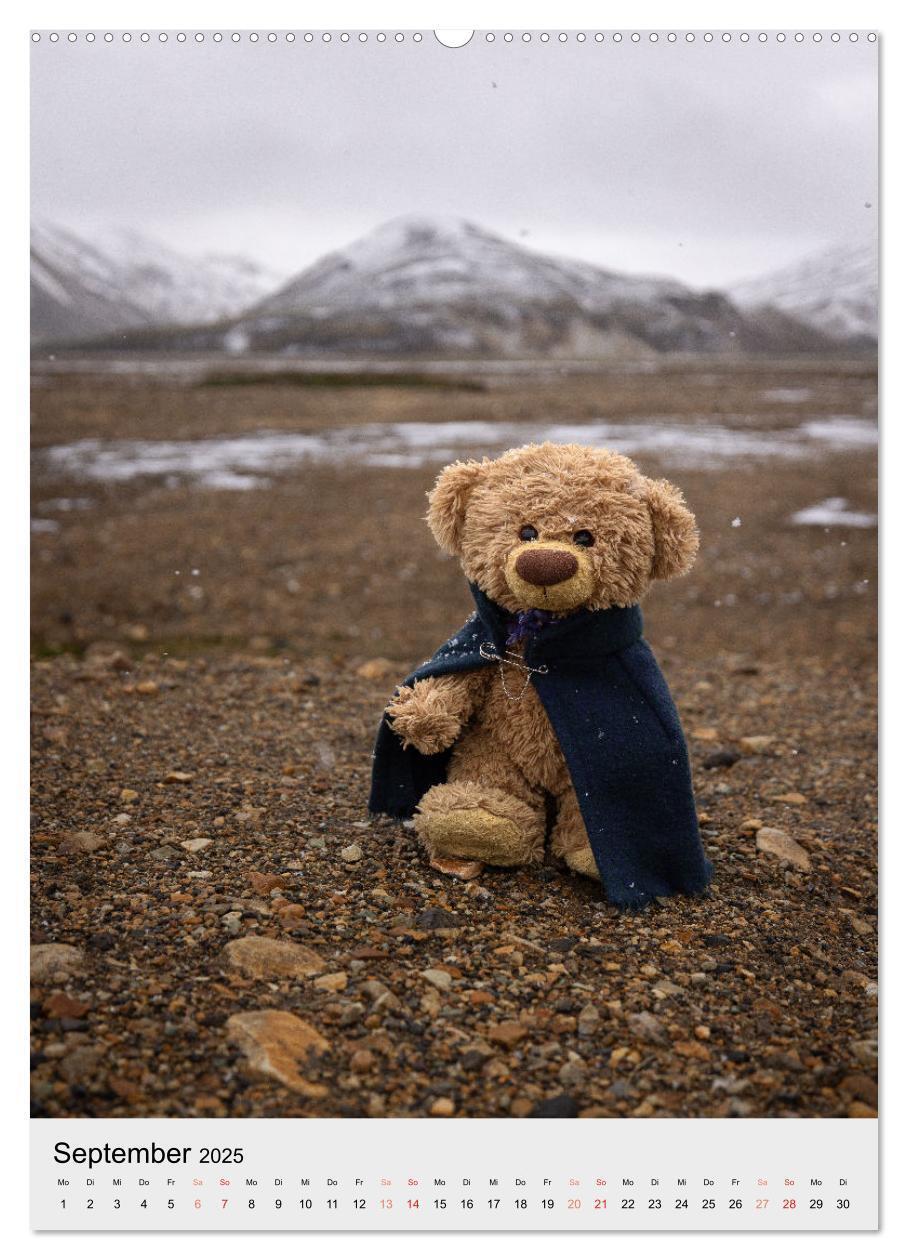 Bild: 9783457136737 | Travelling Teddy in Island (Wandkalender 2025 DIN A2 hoch),...