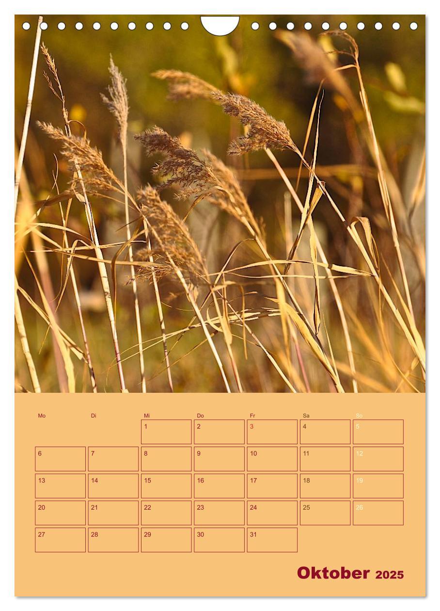 Bild: 9783457055540 | Wald- und Wiesenkalender 2025 Planer (Wandkalender 2025 DIN A4...