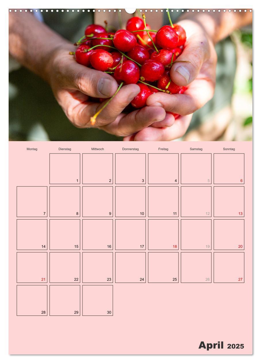 Bild: 9783457185285 | Obst Kalender - GESUND DURCH DAS JAHR (Wandkalender 2025 DIN A2...