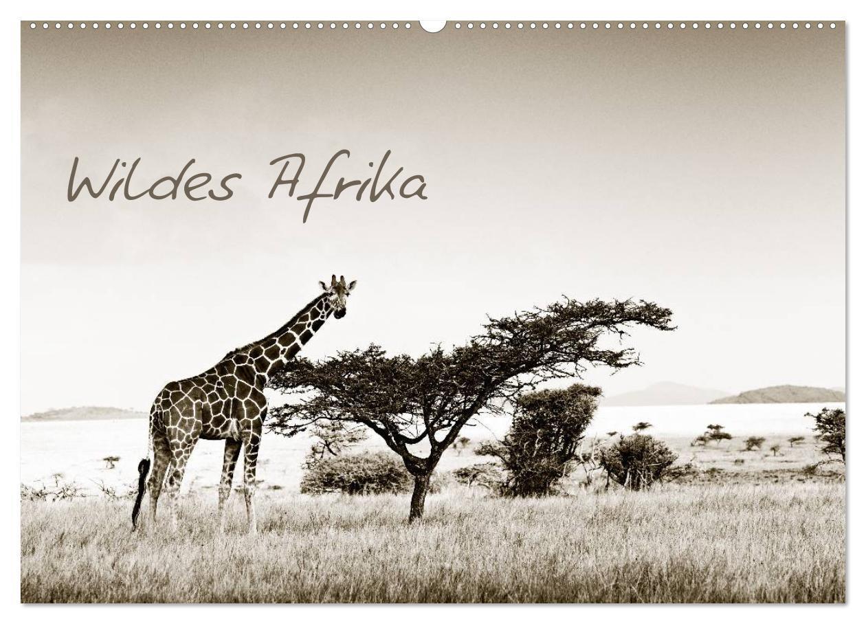 Cover: 9783675905122 | Wildes Afrika (Wandkalender 2024 DIN A2 quer), CALVENDO Monatskalender