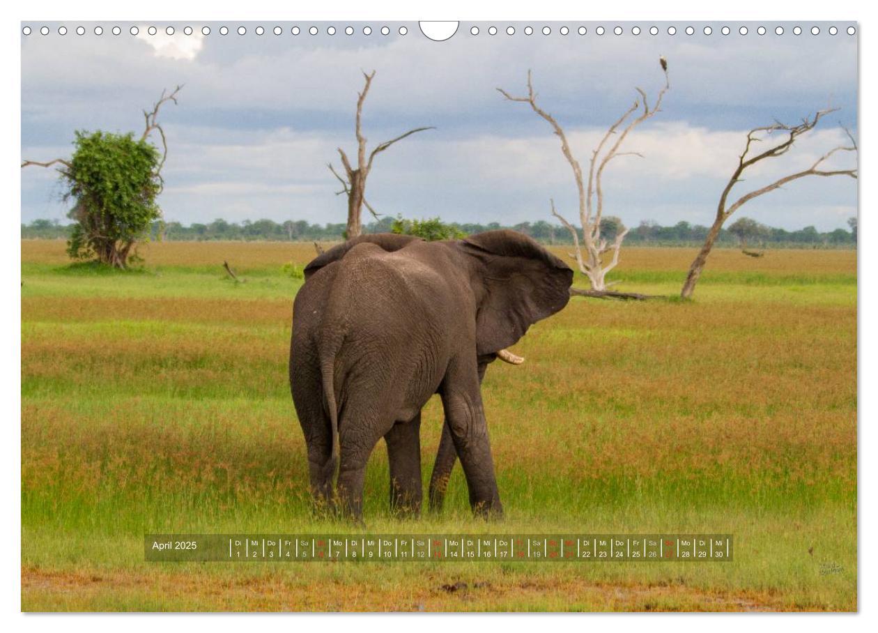 Bild: 9783435814923 | Abenteuer Botswana Afrika - Adventure Botswana (Wandkalender 2025...