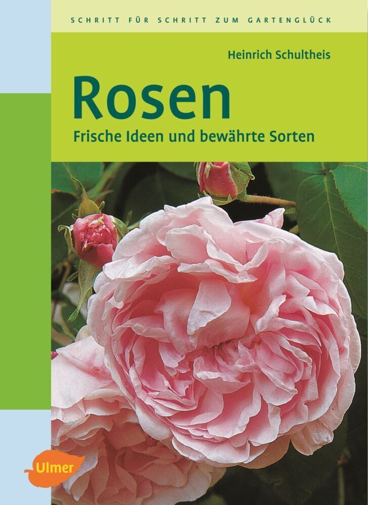 Cover: 9783800141432 | Rosen | Frische Ideen und bewährte Sorten | Heinrich Schultheis | Buch
