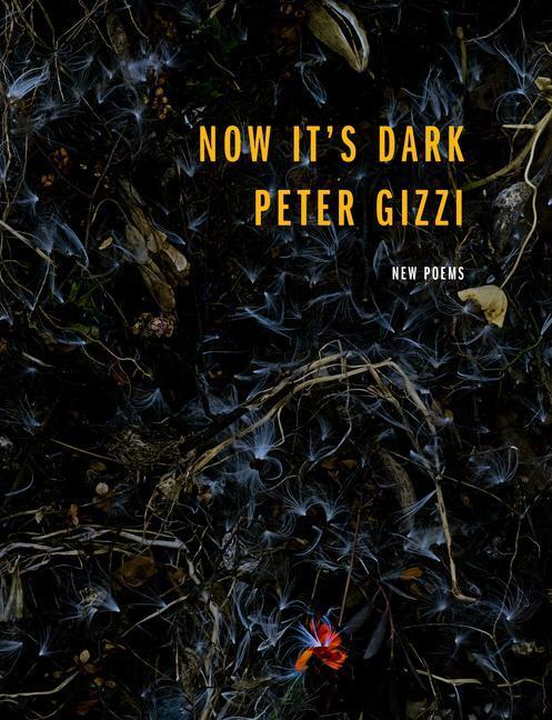 Cover: 9780819579874 | Now It's Dark | Peter Gizzi | Taschenbuch | Wesleyan Poetry Series