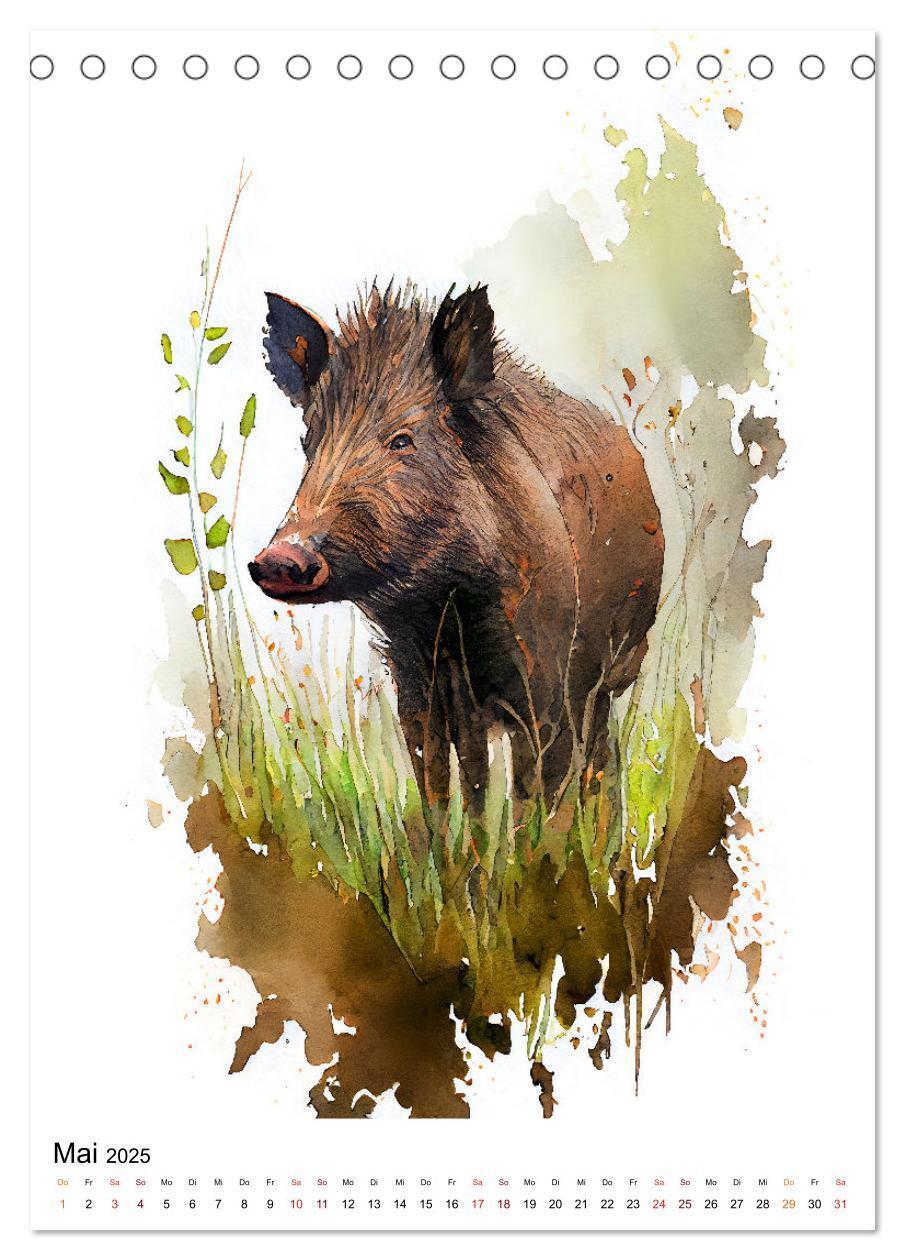 Bild: 9783435878789 | Waldtiere in Aquarell - Heimische Tierarten (Tischkalender 2025 DIN...