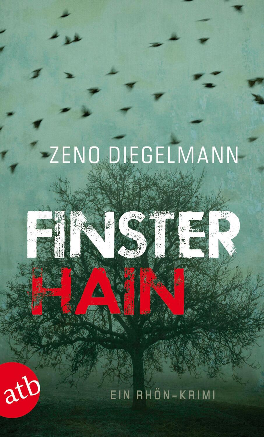 Cover: 9783746626284 | Finsterhain | Ein Rhön-Krimi | Zeno Diegelmann | Taschenbuch | 301 S.