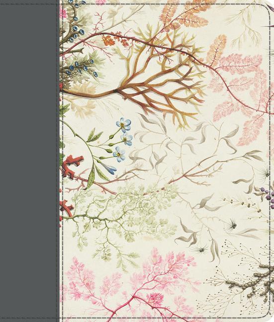 Cover: 9781433565410 | ESV Journaling Bible (Printed Trutone, Elegant Grace) | Buch | 2019