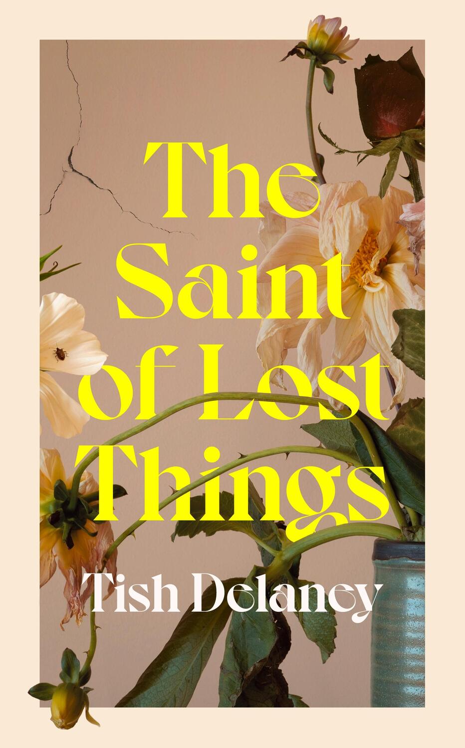 Cover: 9781529151312 | The Saint of Lost Things | A Guardian Summer Read | Tish Delaney