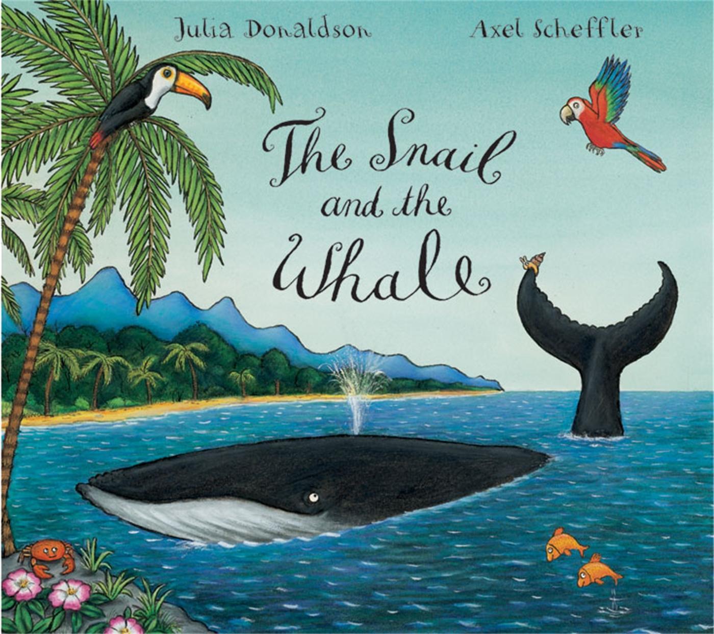 Cover: 9780230013889 | The Snail and the Whale Big Book | Julia Donaldson | Taschenbuch