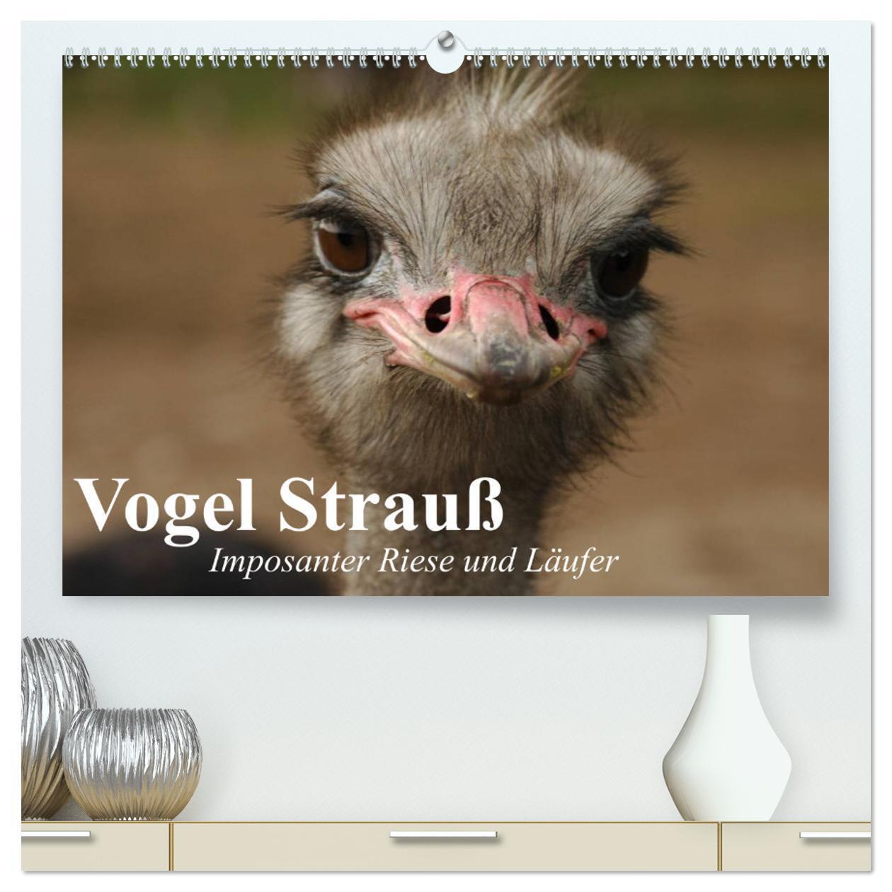 Cover: 9783383305801 | Vogel Strauß. Imposanter Riese und Läufer (hochwertiger Premium...