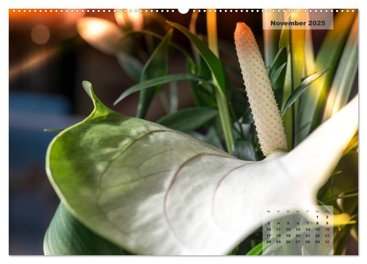 Bild: 9783435301829 | Blüten im Retro-Style (hochwertiger Premium Wandkalender 2025 DIN...