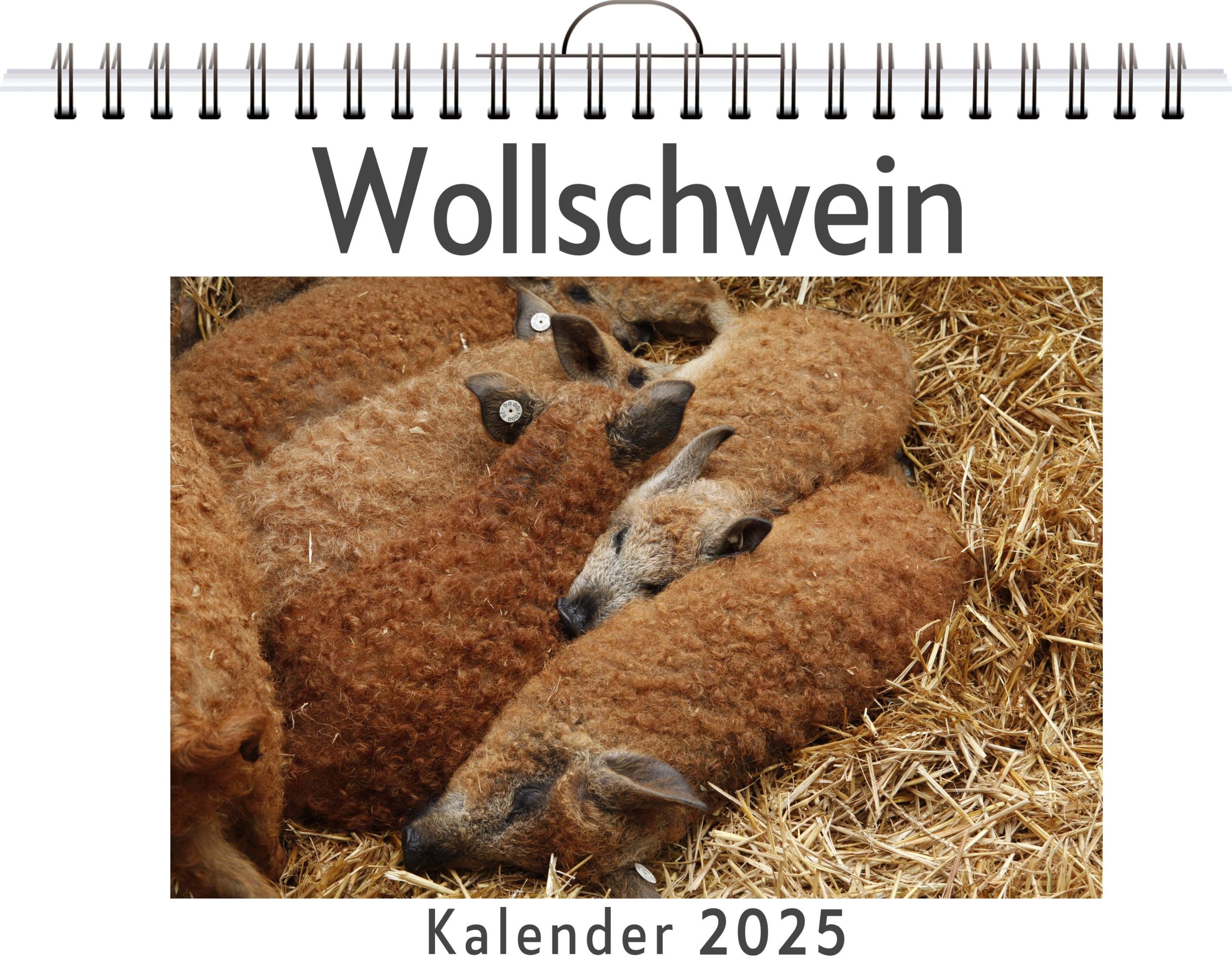 Cover: 9783759119407 | Wollschwein | Lily Frank | Kalender | Kalender | 14 S. | Deutsch