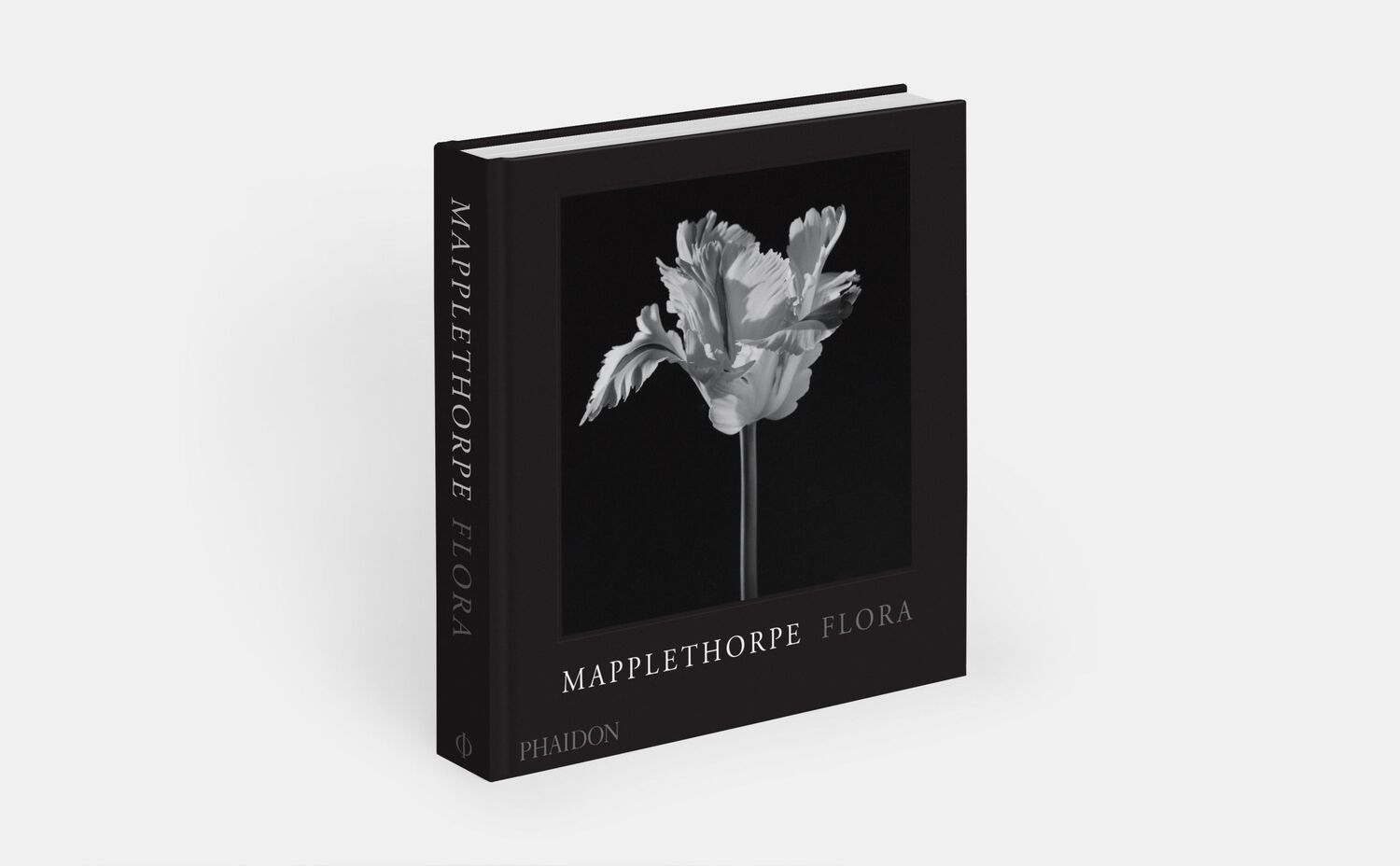 Bild: 9781838668211 | Mapplethorpe Flora | The Complete Flowers | Mapplethorpe (u. a.)