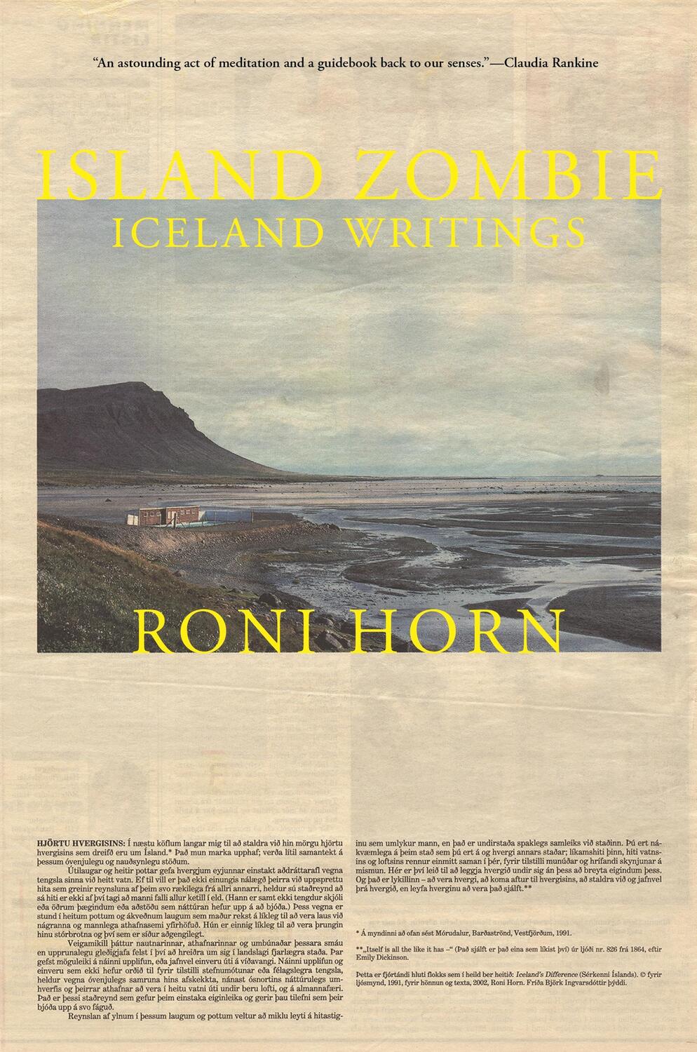 Cover: 9780691248622 | Island Zombie | Iceland Writings | Roni Horn | Taschenbuch | Englisch