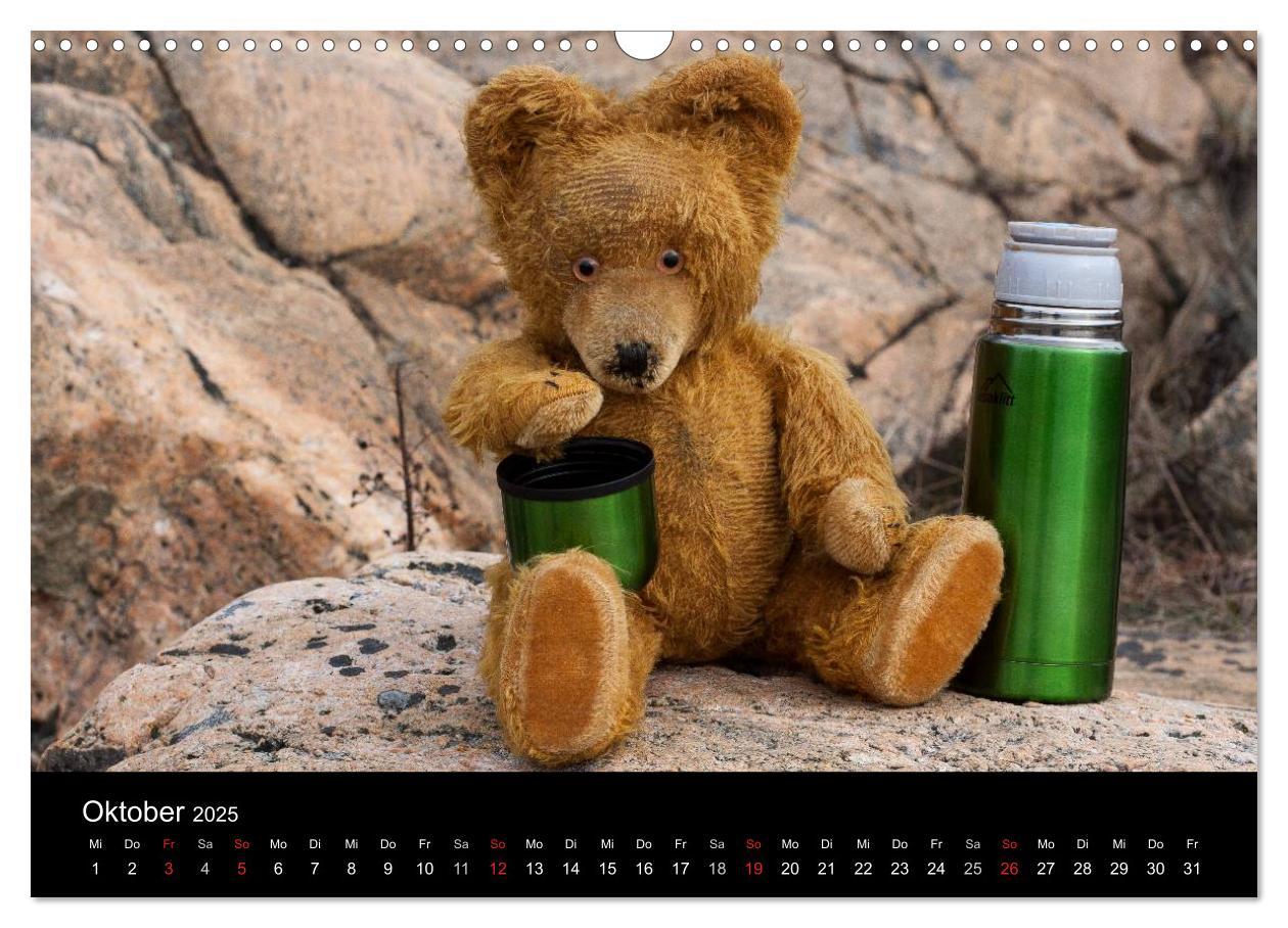 Bild: 9783435674084 | Teddy Basse, Fortsetzung... (Wandkalender 2025 DIN A3 quer),...