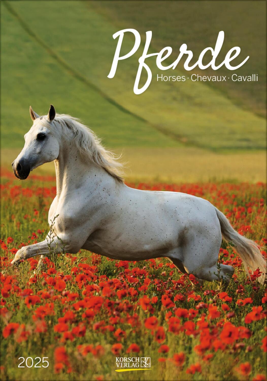 Cover: 9783731876182 | Pferde 2025 | Verlag Korsch | Kalender | Spiralbindung | 13 S. | 2025