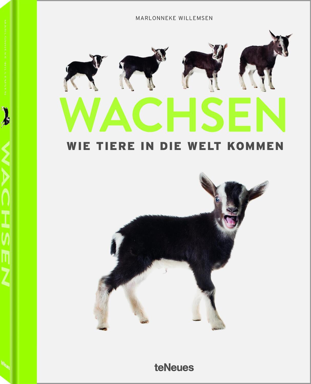 Cover: 9783961713356 | Wachsen | Wie Tiere in die Welt kommen | Marlonneke Willemsen | Buch