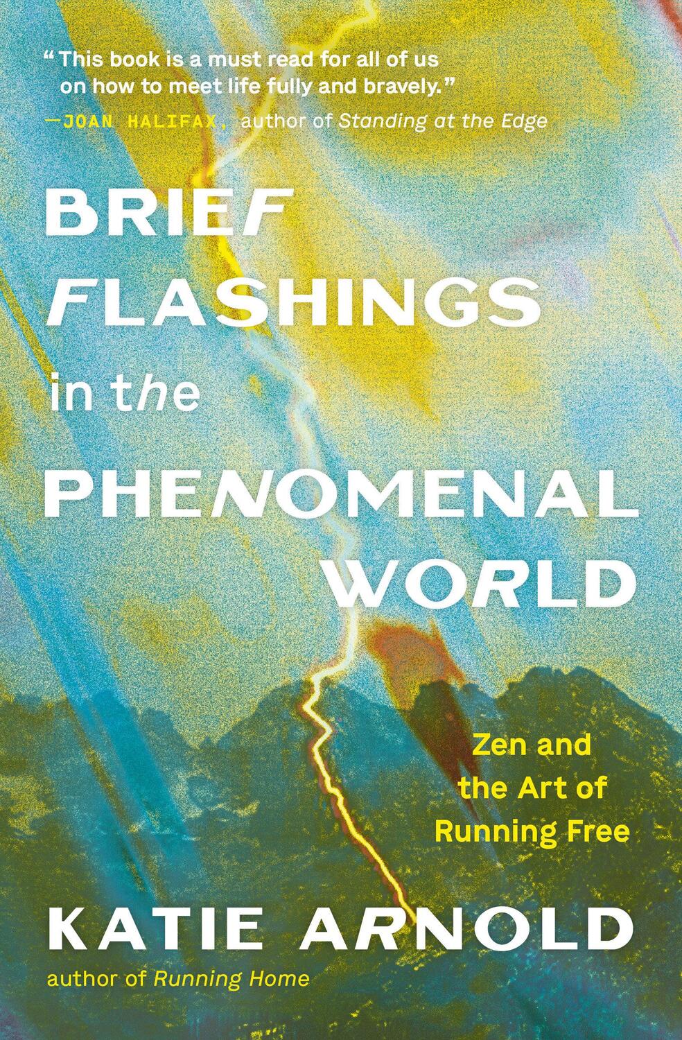 Cover: 9781952692697 | Brief Flashings in the Phenomenal World | Katie Arnold | Taschenbuch