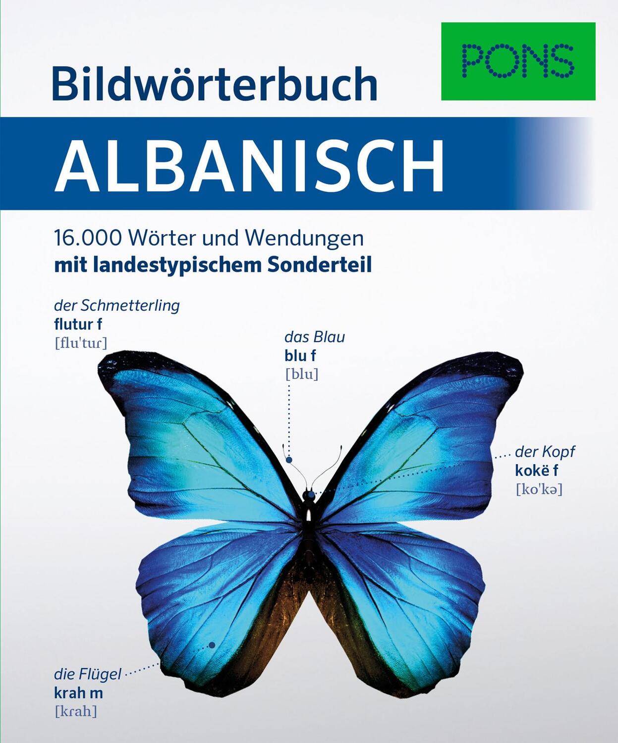 Cover: 9783125162419 | PONS Bildwörterbuch Albanisch | Taschenbuch | PONS Bildwörterbuch