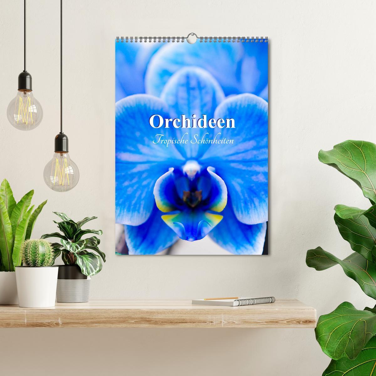 Bild: 9783435977499 | Orchideen - Tropische Schönheiten (Wandkalender 2025 DIN A3 hoch),...