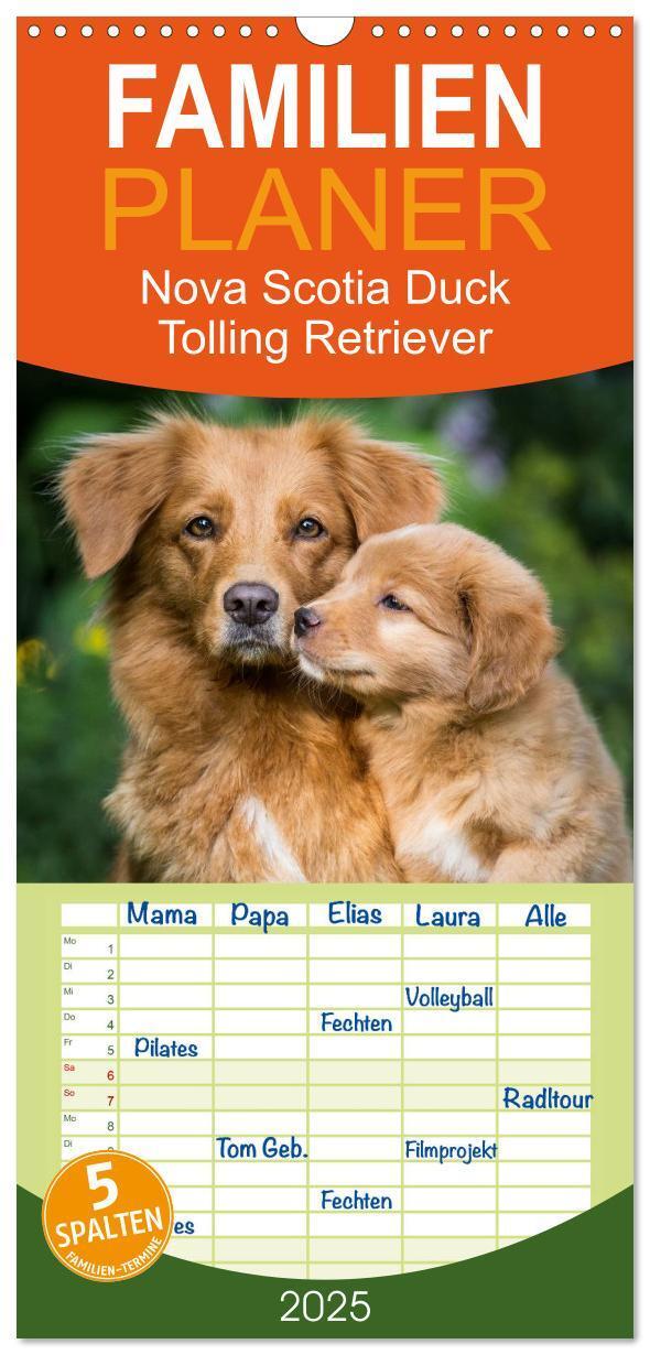 Cover: 9783457112090 | Familienplaner 2025 - Toller - Nova Scotia Duck Tolling Retriever...