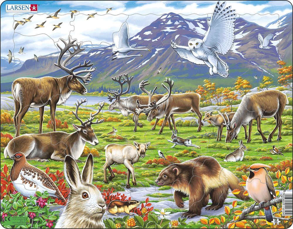 Cover: 7023852116104 | Puzzle - Tiere in Nordeuropa | Puzzle | Larsen | EAN 7023852116104