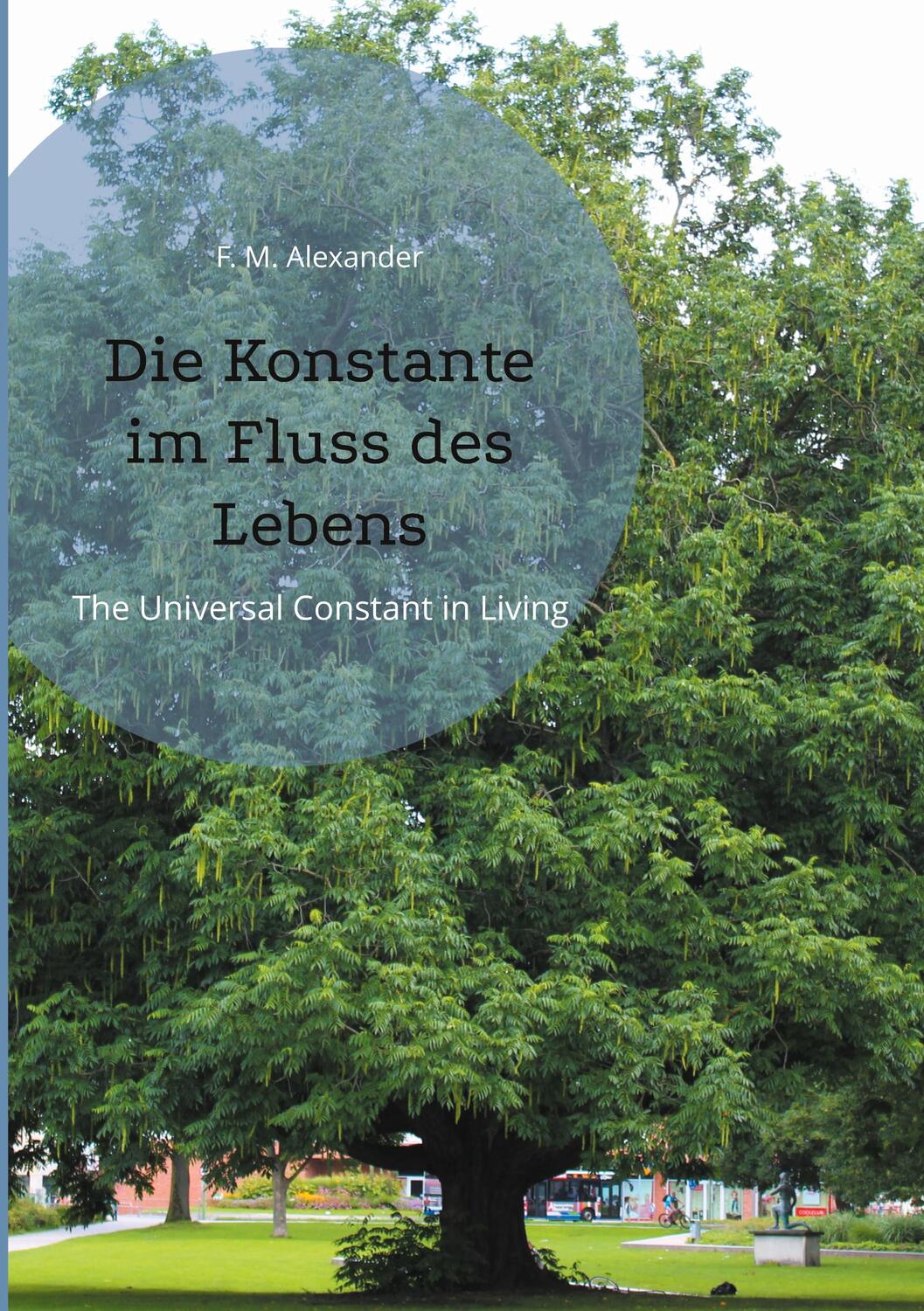 Cover: 9783750430785 | Die Konstante im Fluss des Lebens | The Universal Constant in Living