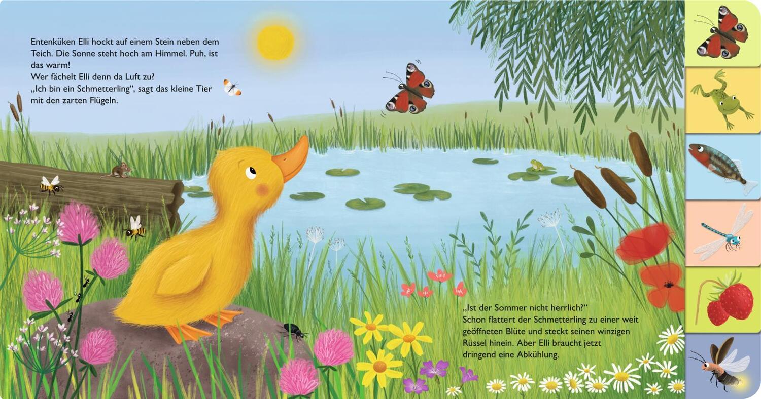 Bild: 9783480238194 | Mein erstes Jahreszeitenbuch: Elli, die kleine Ente | Anja Kiel | Buch