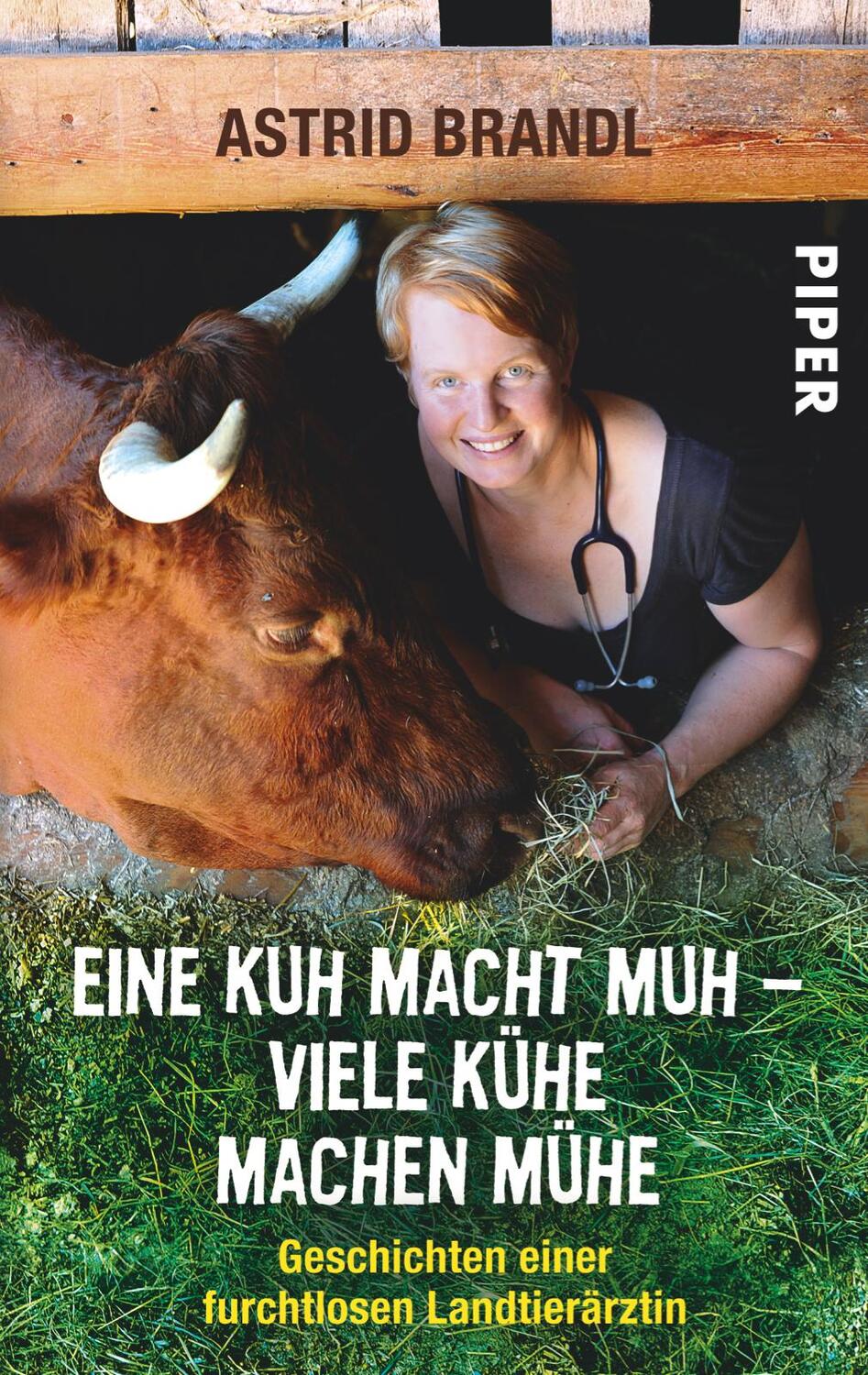 Cover: 9783492302210 | Eine Kuh macht muh - viele Kühe machen Mühe | Astrid Brandl | Buch
