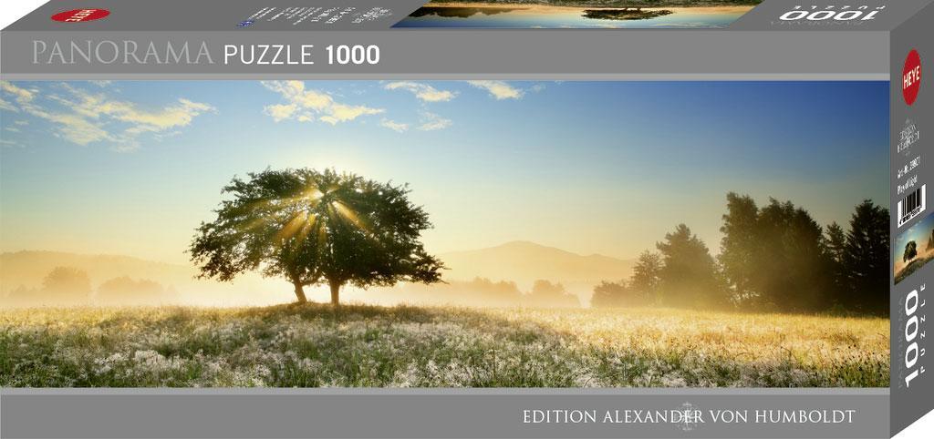 Cover: 4001689299019 | Play of Light | 1000 Teile | Edition Humboldt | Spiel | 29901 | 2020