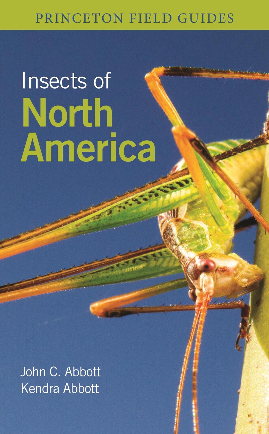 Cover: 9780691232850 | Insects of North America | John C. Abbott (u. a.) | Taschenbuch | 2023