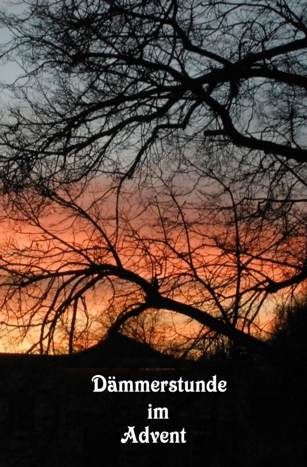 Cover: 9783745019728 | Dämmerstunde im Advent | Besinnliche Texte zum Advent | Telker | Buch