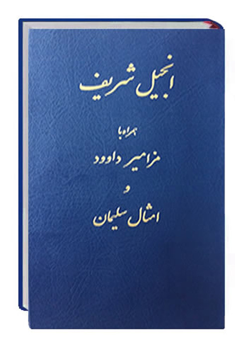 Cover: 9783438082251 | Neues Testament Persisch, Farsi Übersetzung in Gegenwartssprache