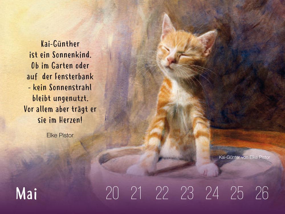 Bild: 9783963080395 | Dauerkalender für Katzenliebhaber | Kunstedition ¿1 | Busse | Kalender