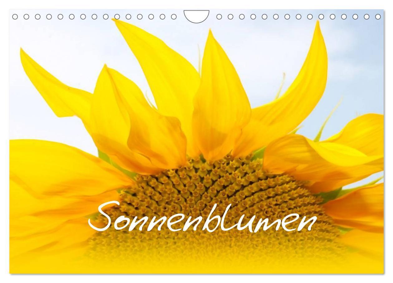 Cover: 9783383593512 | Sonnenblumen - die Blumen der Lebensfreude (Wandkalender 2024 DIN...