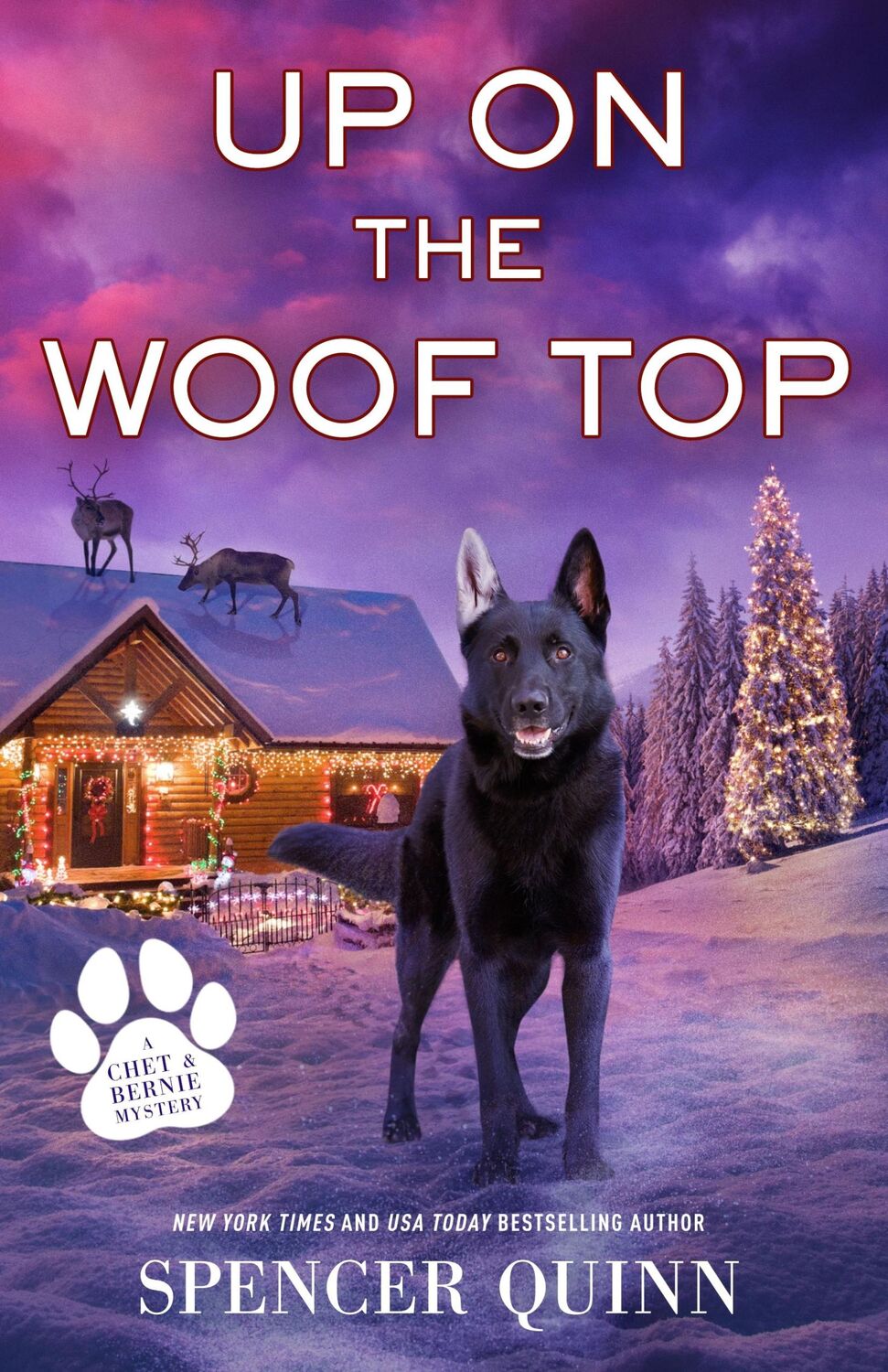 Autor: 9781250843302 | Up on the Woof Top | A Chet &amp; Bernie Mystery | Spencer Quinn | Buch