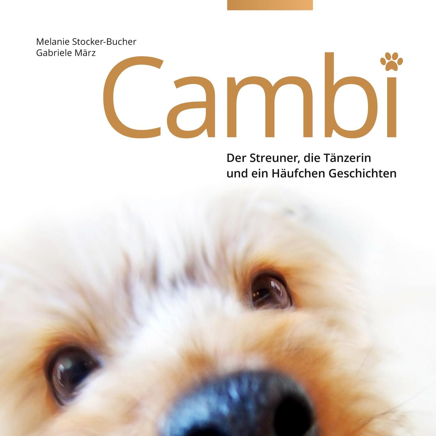 Cover: 9783756879144 | Cambi | Der Streuner, die Tänzerin und ein Häufchen Geschichten | Buch
