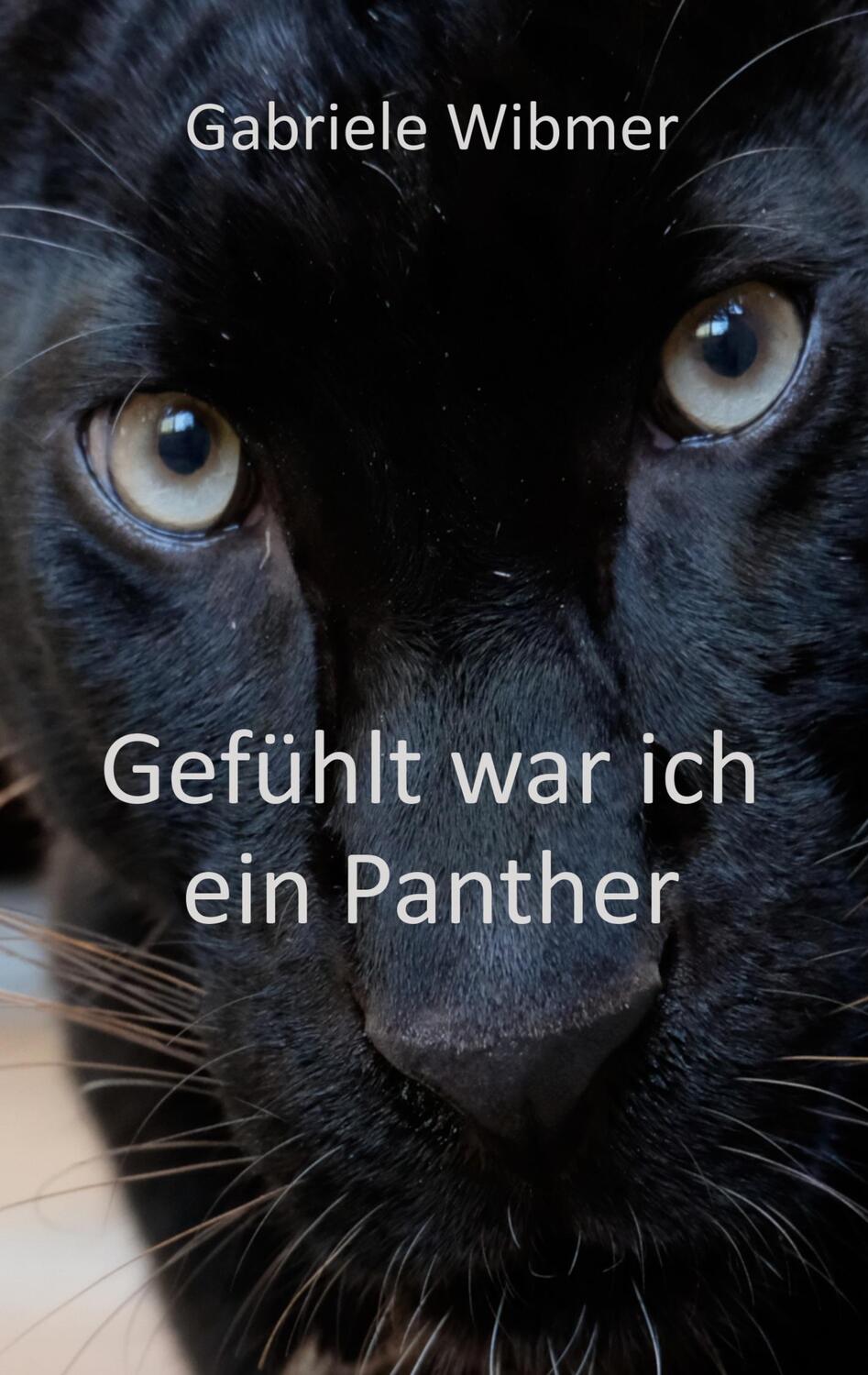 Cover: 9783750421394 | Gefühlt war ich ein Panther | Gabriele Wibmer | Taschenbuch | Deutsch