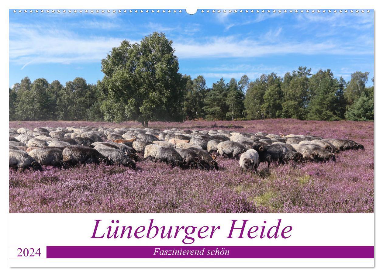 Cover: 9783675461789 | Lüneburger Heide - Faszinierend schön (Wandkalender 2024 DIN A2...